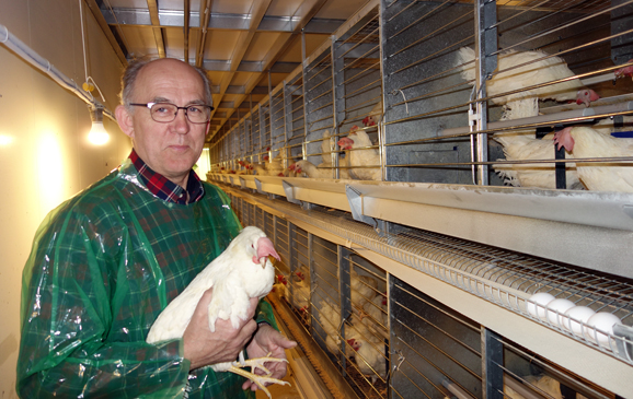Ole Egge sier han har et personlig forhold til de 25.000 hønene sine. (Foto TH)